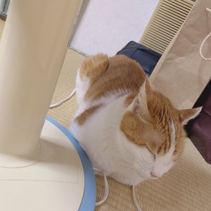 10月7日(1285)【何時間睡眠ですか？】 - 画像2