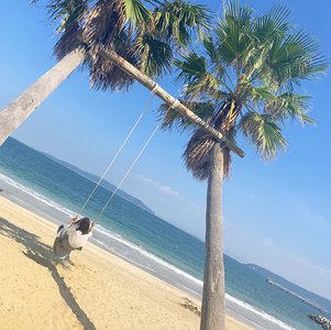 糸島。のサムネイル