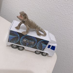 キャップを回しててずっと閉めようとしてるのに中々しまらないなーと思ったらカチッと押すタイプのやつだったっていう時ありませんか？のサムネイル