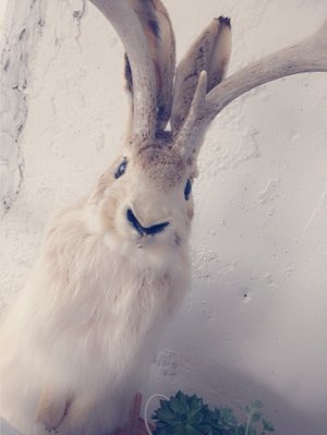 無。☆彡のサムネイル