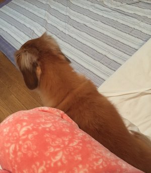念願😌のサムネイル