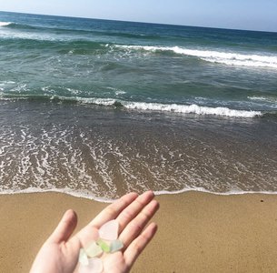 海月。 - 画像2