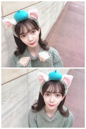 猫 - 画像4