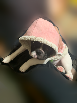 11月23日(1332)【フード】のサムネイル