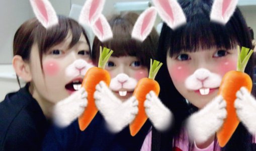写真。のサムネイル
