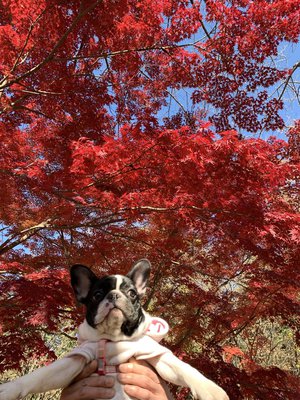 11月30日(1339)【✔️】 - 画像2