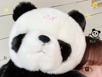 ぱんだのサムネイル