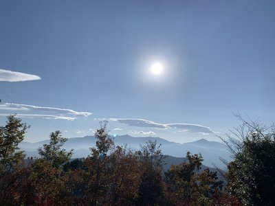 11月2日(1341)【三兄弟】 - 画像3
