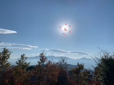 11月2日(1341)【三兄弟】 - 画像4