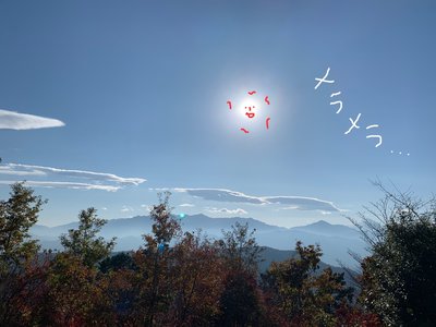11月2日(1341)【三兄弟】 - 画像5