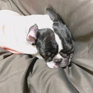 12月6日(1345)【💤】のサムネイル
