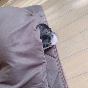12月14日(1353)【自己嫌悪】のサムネイル