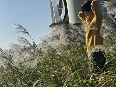 １２月 - 画像5