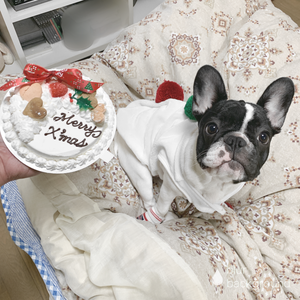 12月25日(1364)【クリスマスっぽい】 - 画像4