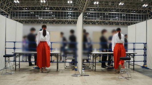熱を通した梅干し(｡･ω･｡)のサムネイル