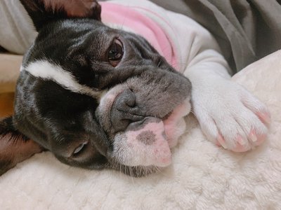 Jan.17＊1387☃️歯投げ🦷のサムネイル