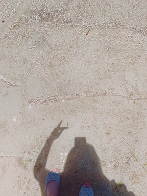 Jan.22＊1392☃️海外のサムネイル