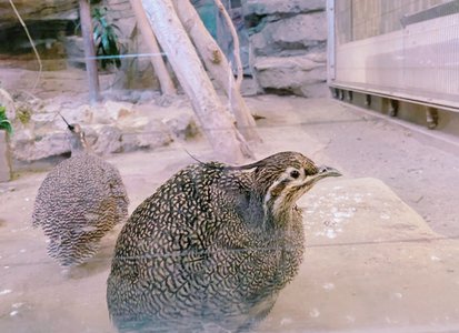 ダメージジーンズってダメージ部分に足入っちゃう時ありません？ - 画像2