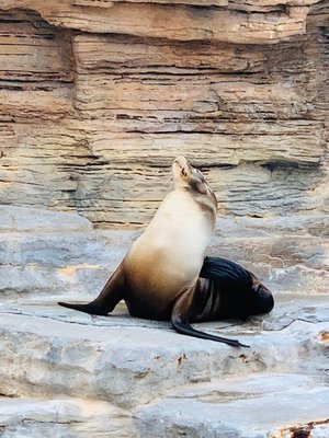 水族館 - 画像5