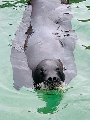 水族館 - 画像7