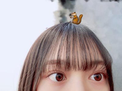 お久しぶりです🐘のサムネイル