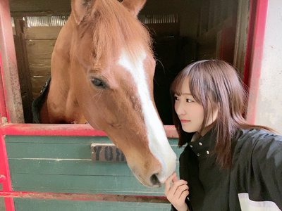 🌳🐴のサムネイル