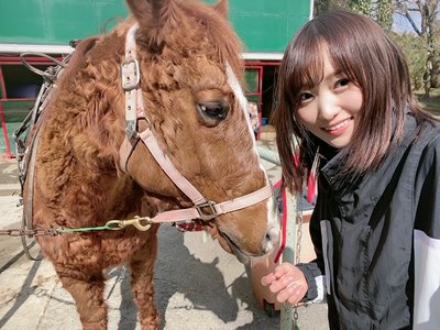 🌳🐴 - 画像3