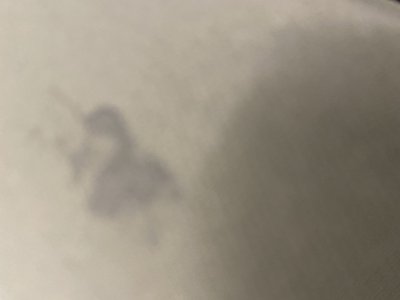 林檎の蜜のサムネイル