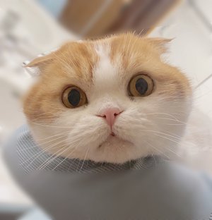 遊びにきてね☺︎☺︎ - 画像3