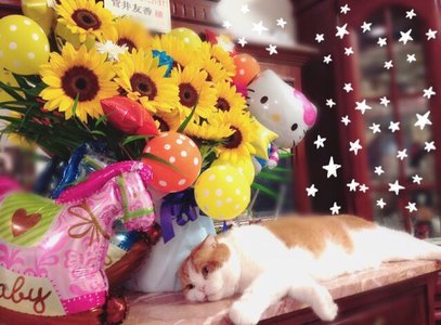 横浜個別握手会ありがとうございました*Ü* - 画像2