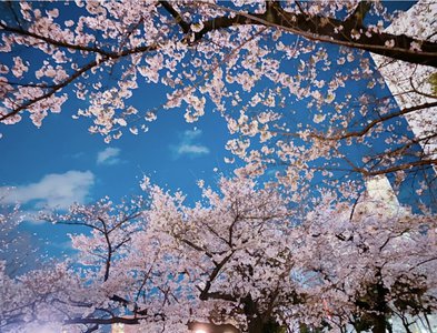 感謝 - 画像2