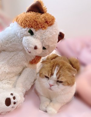 4歳になりました🎂 - 画像4