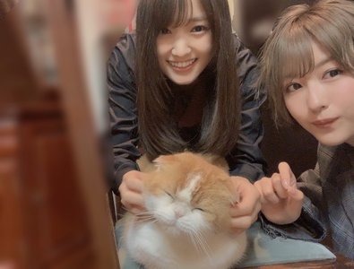 トムの新しいお友達☺︎ - 画像8