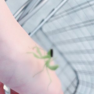 こんにちは〜⭐ - 画像3