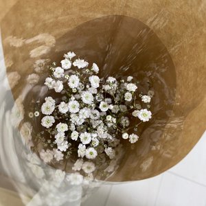 理佐ちゃんブログのタイトル、"にんじん"にするって言ってたのに絶対忘れている。😤😤😤😤のでここに書いておきます〜！！！笑笑のサムネイル