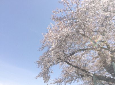 もしも電話ができない世界だったら系電話する？？のサムネイル