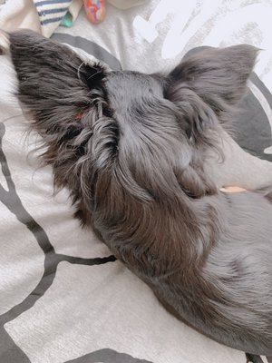 にじいろ。②①④のサムネイル