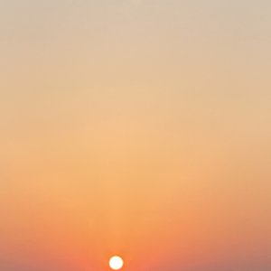 とにかく春が苦手ナンデスのサムネイル