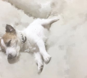 パレード初心者りこぴのサムネイル