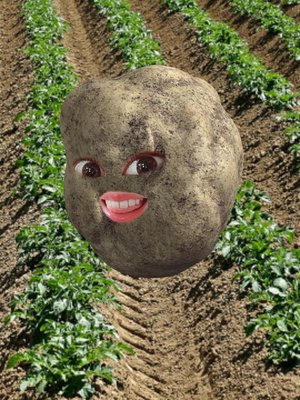 家にいるとワンコの写真しかとらん - 画像4