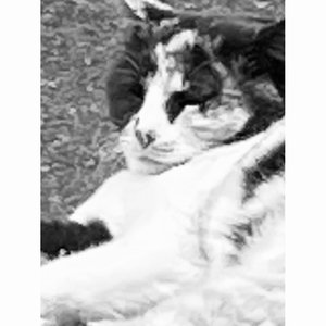 眠のサムネイル