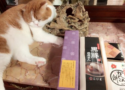 ハウステンボスありがとうございました！ - 画像7