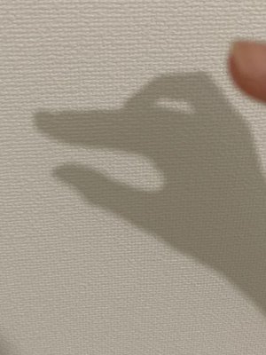 6月ですね - 画像3