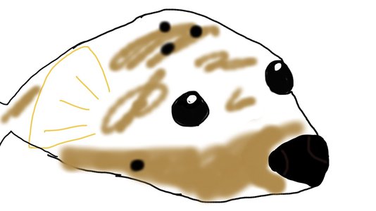 顔がオレンジ色 - 画像3