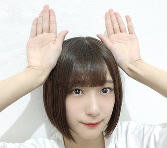 けやみみのサムネイル