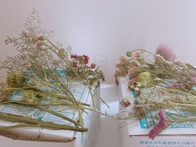 スモークツリー - 画像2