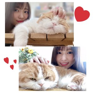 雨の日も嫌いじゃないのサムネイル