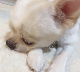 ‪‪☺︎‬のサムネイル
