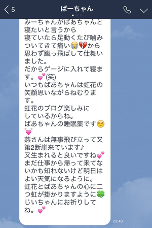 愛しのばーちゃん - 画像2