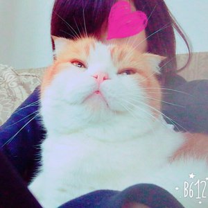 はっぴーのサムネイル